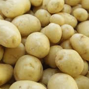 Batata Reno