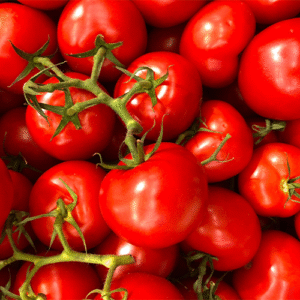 Tomate Maduro