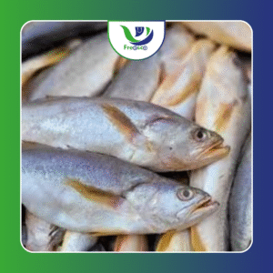 Pescada Congelada
