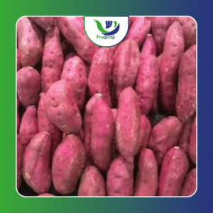 Batata Doce